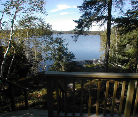 Lake View from Cabin