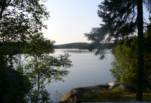 Lake View Morning
