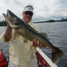 Large walleye