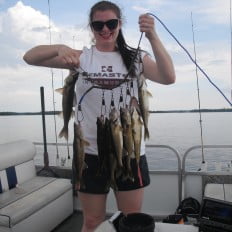 A nice stringer full of walleye