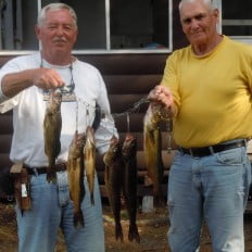 Stringer of walleye at Ritchie's End of Trail