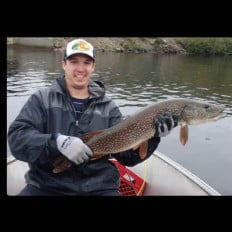 Northern pike fishing