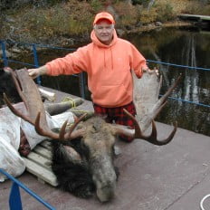 Trophy Moose